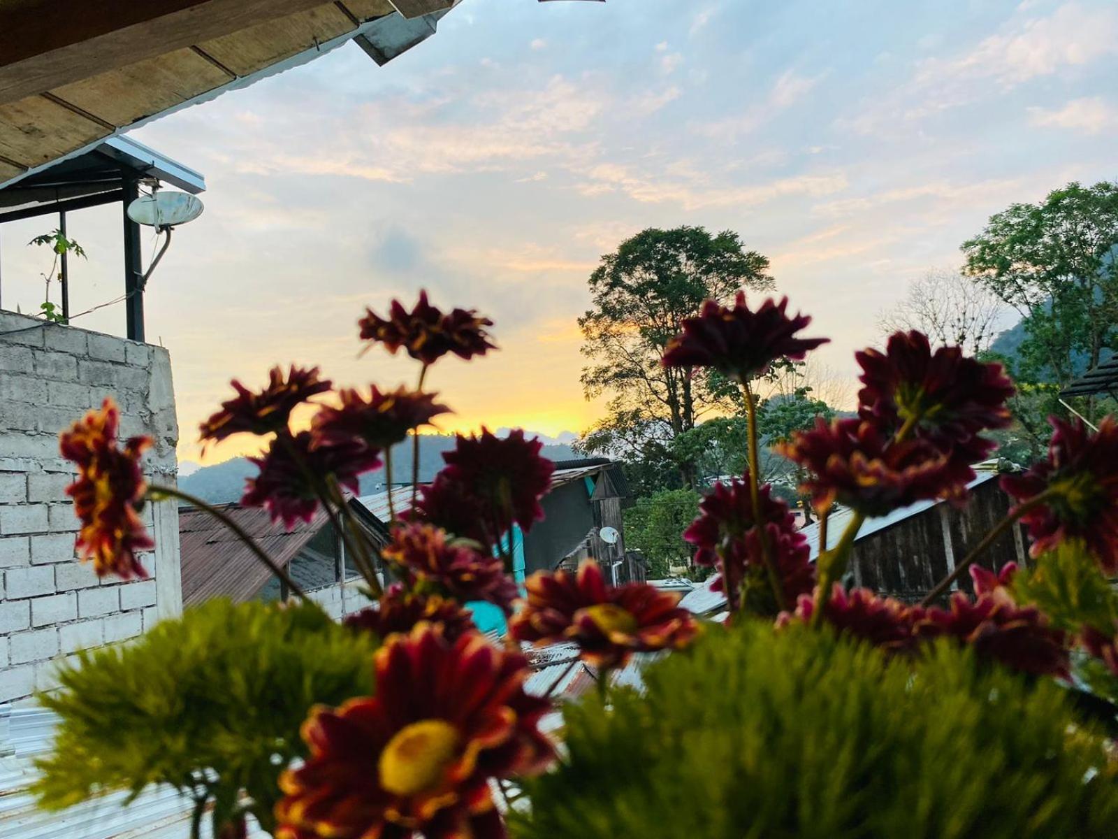 Guayabo Hostal Mindo Luaran gambar